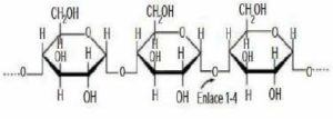 Composición Química de la Panta Huacaparana